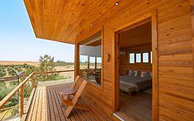 Le Parc des Oliviers